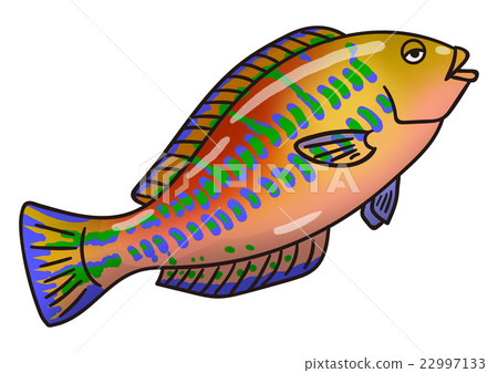 魚圖Ryugu貝拉 魚圖Ryugu貝拉 22997133