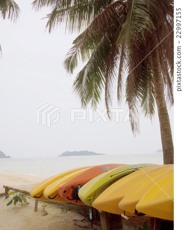 棕櫚樹 離開島嶼 泰國 22997155