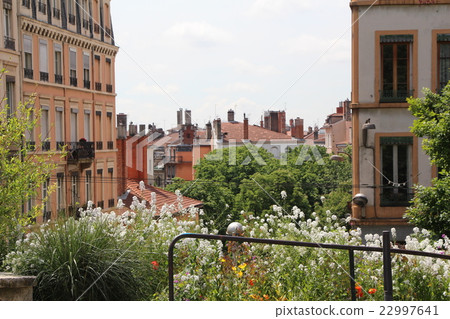 面向公園的街角 22997641