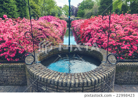Tulip field in Keukenhof Gardens, Lisse Tulip field in Keukenhof Gardens, Lisse 22998423