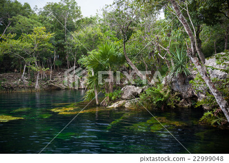 Cenote with pure water, Mexico Cenote with pure water, Mexico 22999048