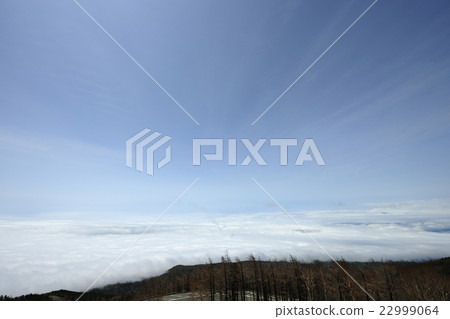 Cloud sea and blue sky seen from Mt. Fuji (Shizuoka) Cloud sea and blue sky seen from Mt. Fuji (Shizuoka) 22999064