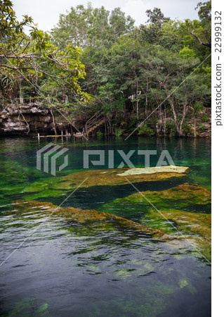 Cenote with pure water, Mexico Cenote with pure water, Mexico 22999132