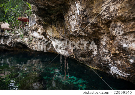 Cenote with pure water, Mexico 22999140