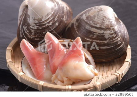 Shellfish 22999505