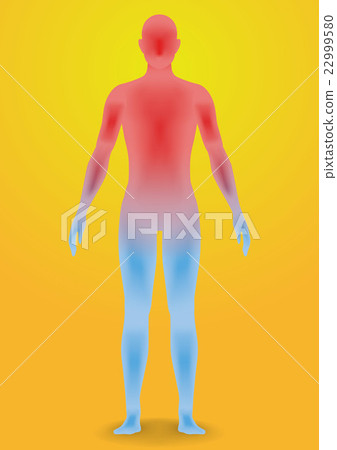 Human body model and heat stroke image illustration 22999580