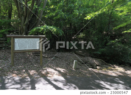 古代山城堡“城山城堡”遺址(坂出市) 古代山城堡“城山城堡”遺址(坂出市) 23000547