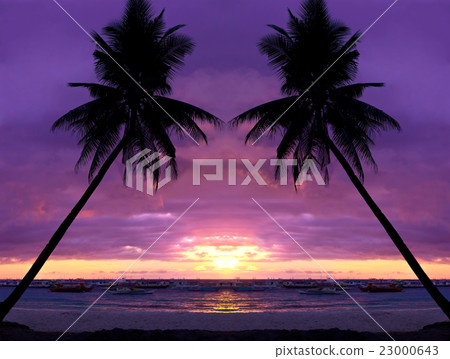Beautiful sunset at tropical beach with palm trees Beautiful sunset at tropical beach with palm trees 23000643