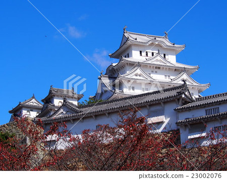 Himeji castle under the blue sky 23002076
