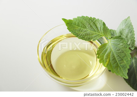 Perilla oil 23002442