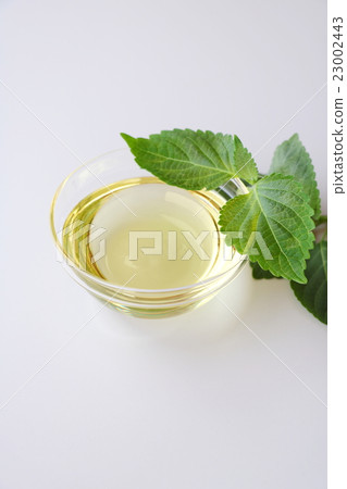 Egg oil 23002443