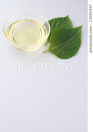 紫蘇油 紫蘇油 23002447