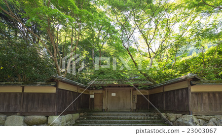 Rurikoin / Yamaemon 23003067