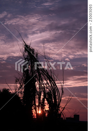 Landscape that nature weaves Landscape that nature weaves 23003093