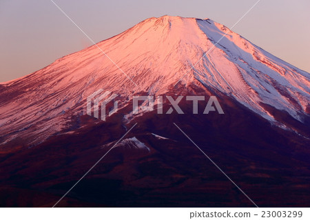 Mikunzan山·來自Mt. Kinoshira的槍。富士山的晨光 23003299