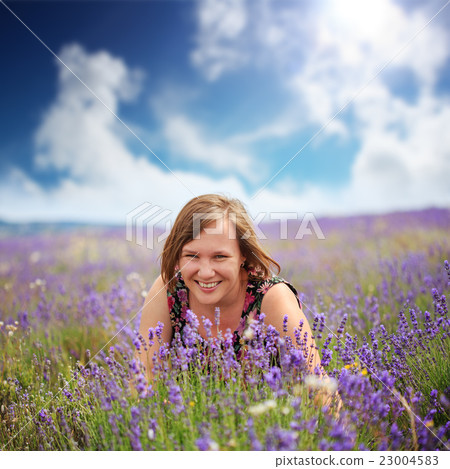 Summer on lavender field Summer on lavender field 23004583