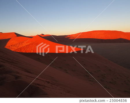 Namib Desert 23004836