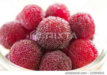 山手工麵條 山手工麵條 23004931