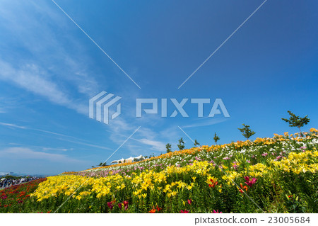 Osaka Maishima Yuri Garden 23005684