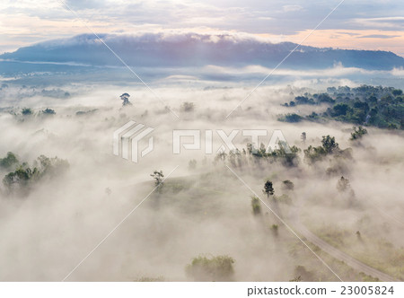 Sunrise in the sea of mist at dawn, Thailand Sunrise in the sea of mist at dawn, Thailand 23005824
