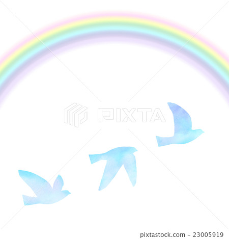 Rainbow and flapping bird 23005919