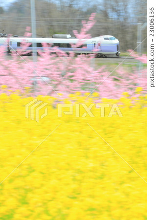 Taoyuan Township and Super Azusa 23006136