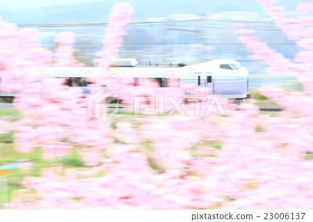 Super Azusa and Momo Flower Running Super Azusa and Momo Flower Running 23006137