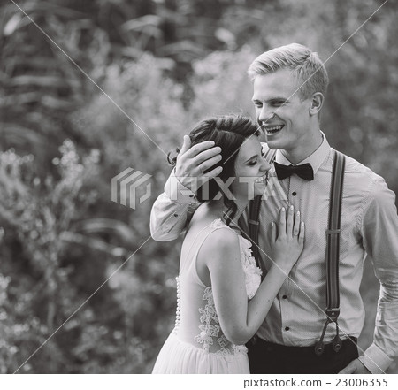 groom gently embracing his bride groom gently embracing his bride 23006355