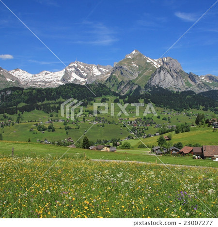 Springtime in the Toggenburg valley 23007277