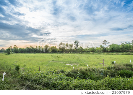 Beautiful sunset over the rice field in Thailand. Beautiful sunset over the rice field in Thailand. 23007979
