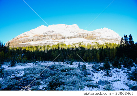 在Ohara湖附近的加拿大人岩石幽溜國家公園秋天風景 23008465