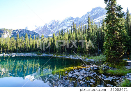加拿大岩石幽鶴國家公園Ohara湖秋天風景 23008471