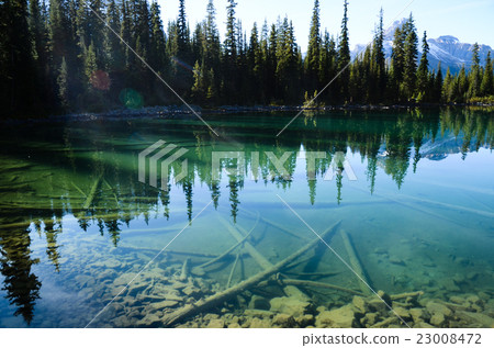 加拿大岩石幽鶴國家公園Ohara湖秋天風景 23008472