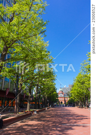 Sapporo, red brick terrace and former main building of Hokkaido agency Sapporo, red brick terrace and former main building of Hokkaido agency 23008527