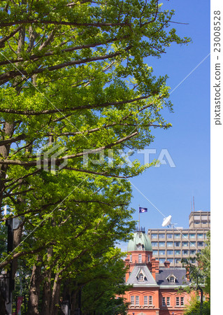 Sapporo, red brick terrace and former main building of Hokkaido agency Sapporo, red brick terrace and former main building of Hokkaido agency 23008528