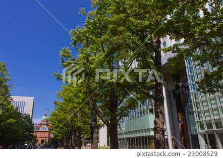 Sapporo, red brick terrace and former main building of Hokkaido agency Sapporo, red brick terrace and former main building of Hokkaido agency 23008529