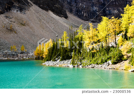 加拿大落基山脈秋湖艾格尼絲 23008536