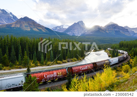 加拿大落基山脈貨運列車在Morantz曲線運行秋季加拿大落基山脈 23008542