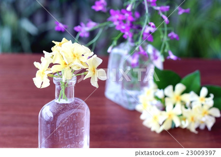 Early summer flowers 23009397