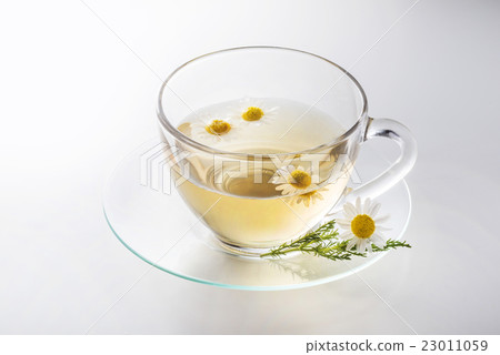 洋甘菊的香草茶 洋甘菊的香草茶 23011059