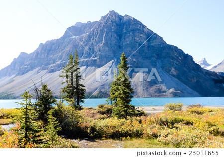 Canadian Rockies Autumn Bow Lake 23011655