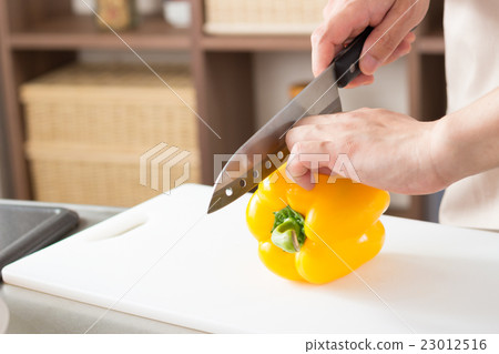 生活形象 23012516