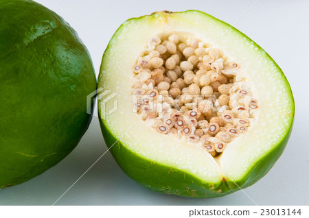 Blue Papaya 23013144