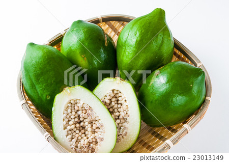 Blue Papaya 23013149