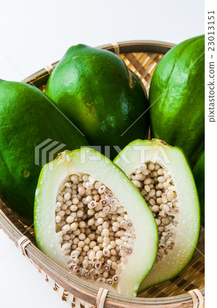 Blue Papaya 23013151