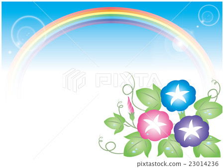 牽牛花和彩虹 23014236