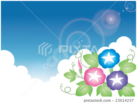 牽牛花和雲覆蓋 23014237