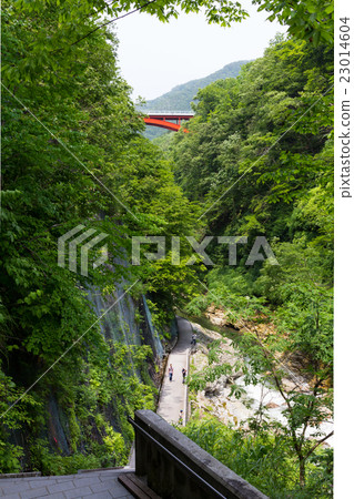 Oyasukyo Oyasukyo 23014604