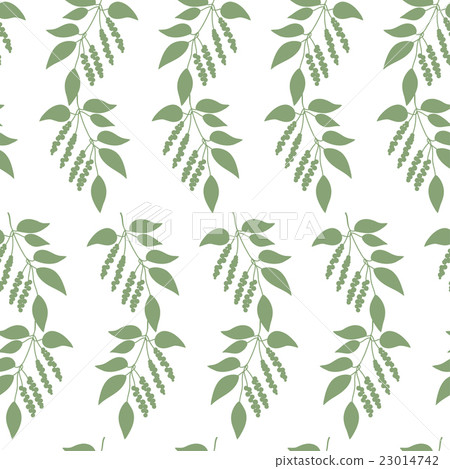 Seamless colorful pattern of Chinese Schisandra 23014742