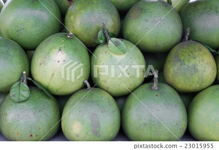 Pomelo or pummelo 23015955